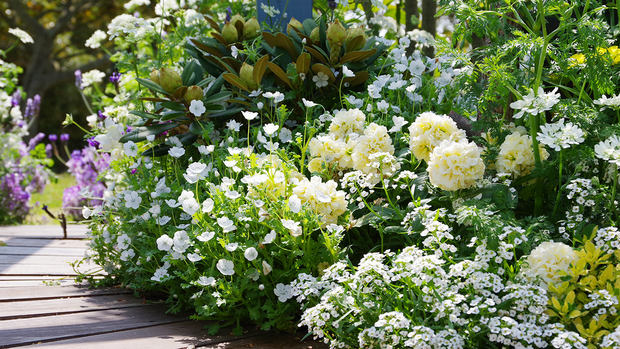 お庭づくりも東京花壇にお任せください